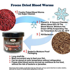 Amzey Blood Worms freeze-dried detail highlights high-protein texture ideal for growth and color