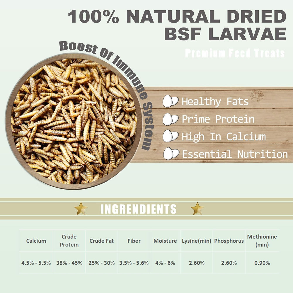 Amzey BSF larvae poultry treat boosts egg quality and daily protein intake.