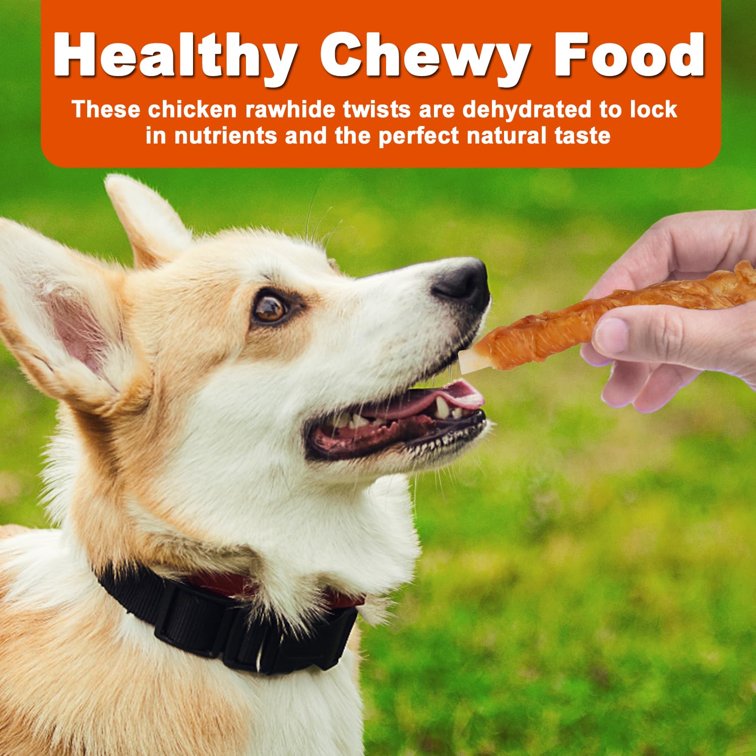 Amzey chicken wrapped rawhide twists closeup shows chewy texture ideal for training rewards.