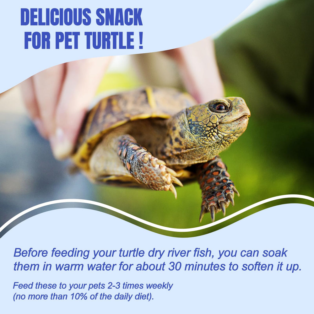 Amzey dried river fish reptile-snacks feature nutrient-dense, additive-free appeal.
