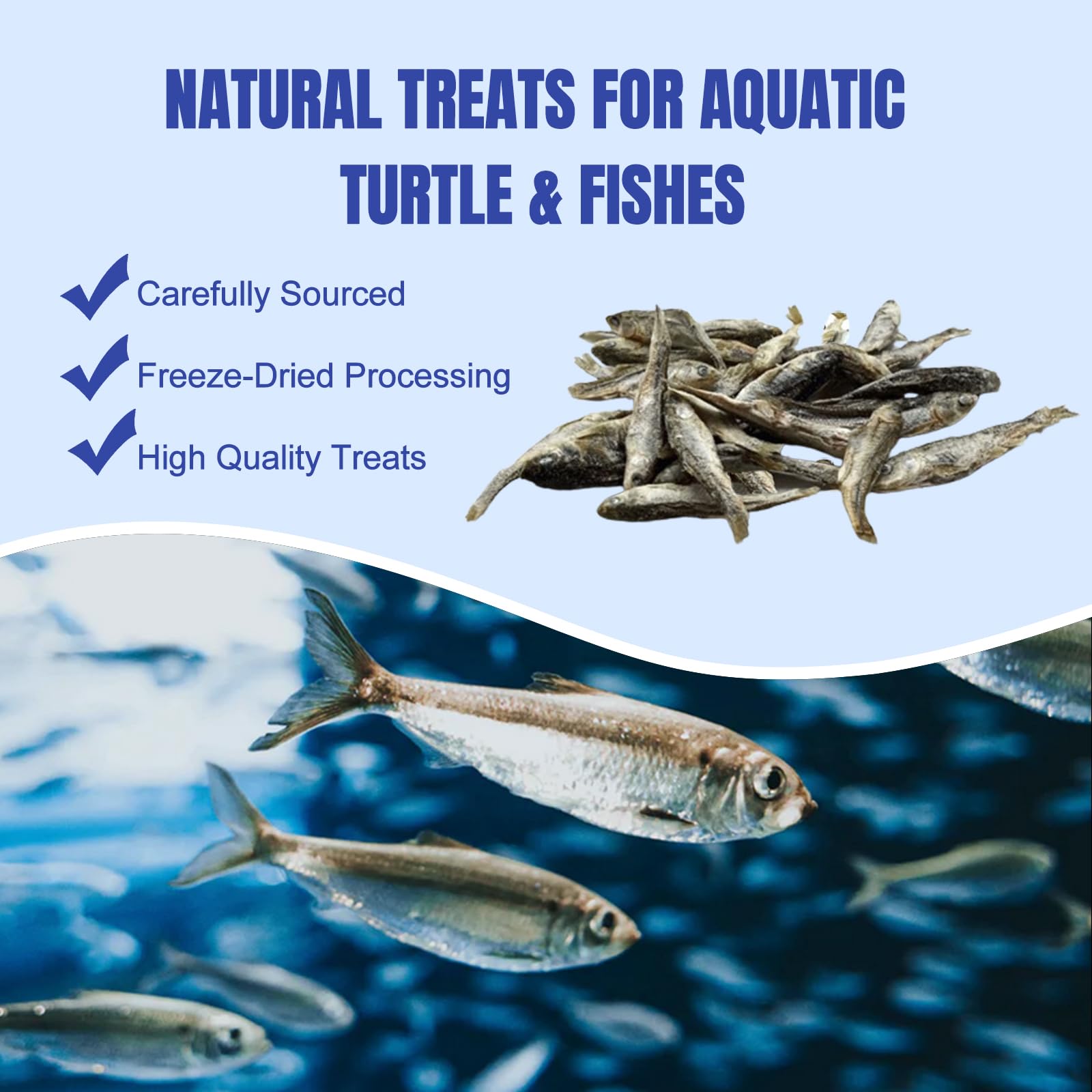 Amzey dried river fish serving bowl shows easy feeding for turtles.