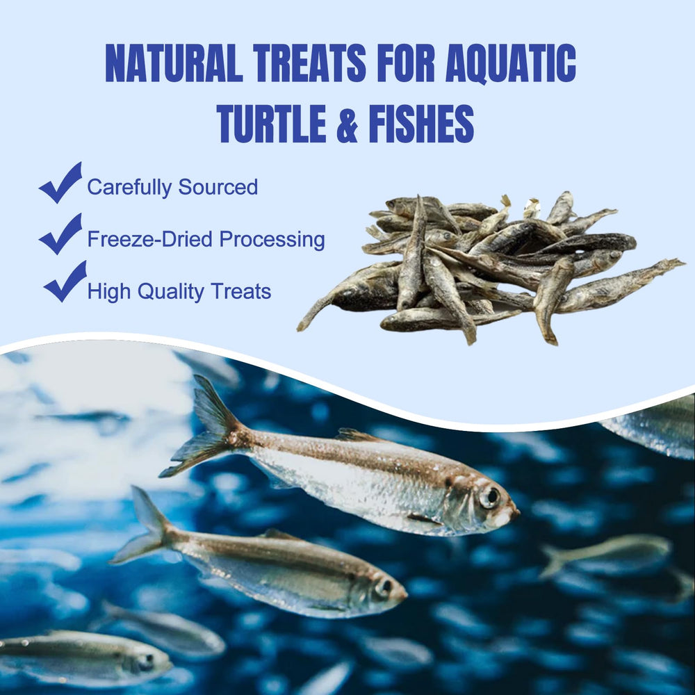 Amzey dried river fish serving bowl shows easy feeding for turtles.