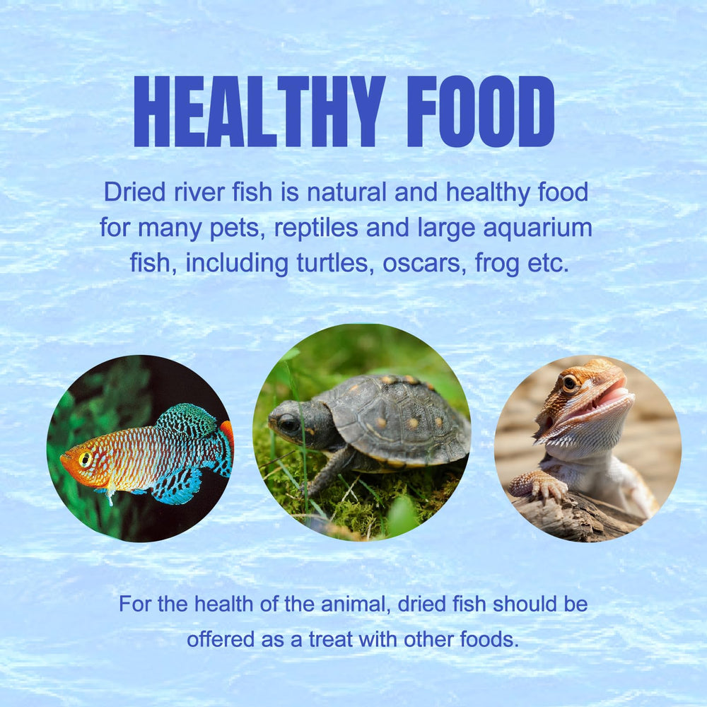Amzey dried river fish turtles-diet-scene suggests a safe natural food option.
