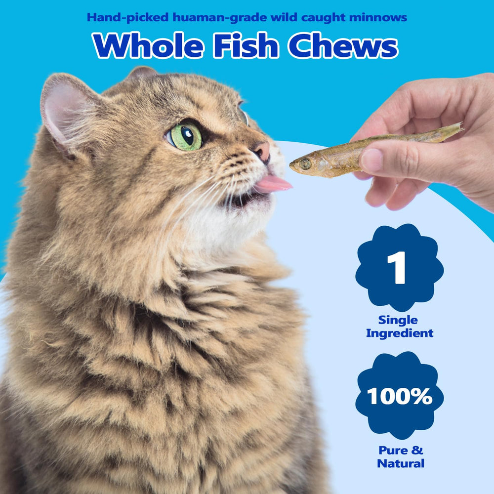Amzey freeze-dried minnows close-up highlighting texture and protein content