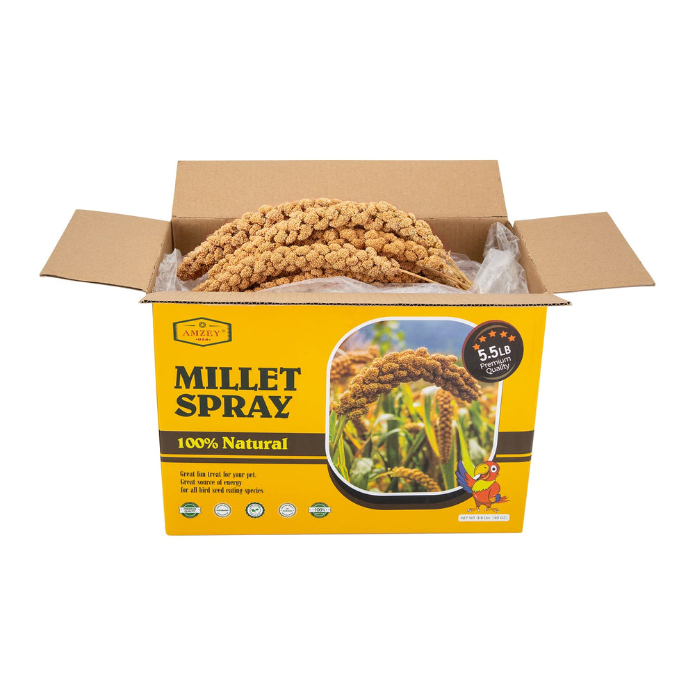 Amzey sun-dried millet bulk bag showing value for long-term feeding.