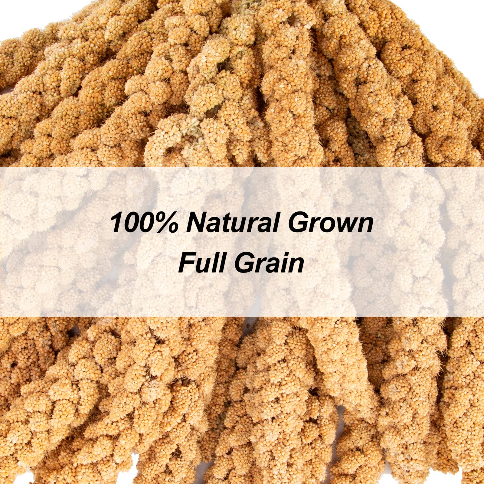 Amzey tasty plump millet closeup highlighting natural quality and protein-rich snacking.
