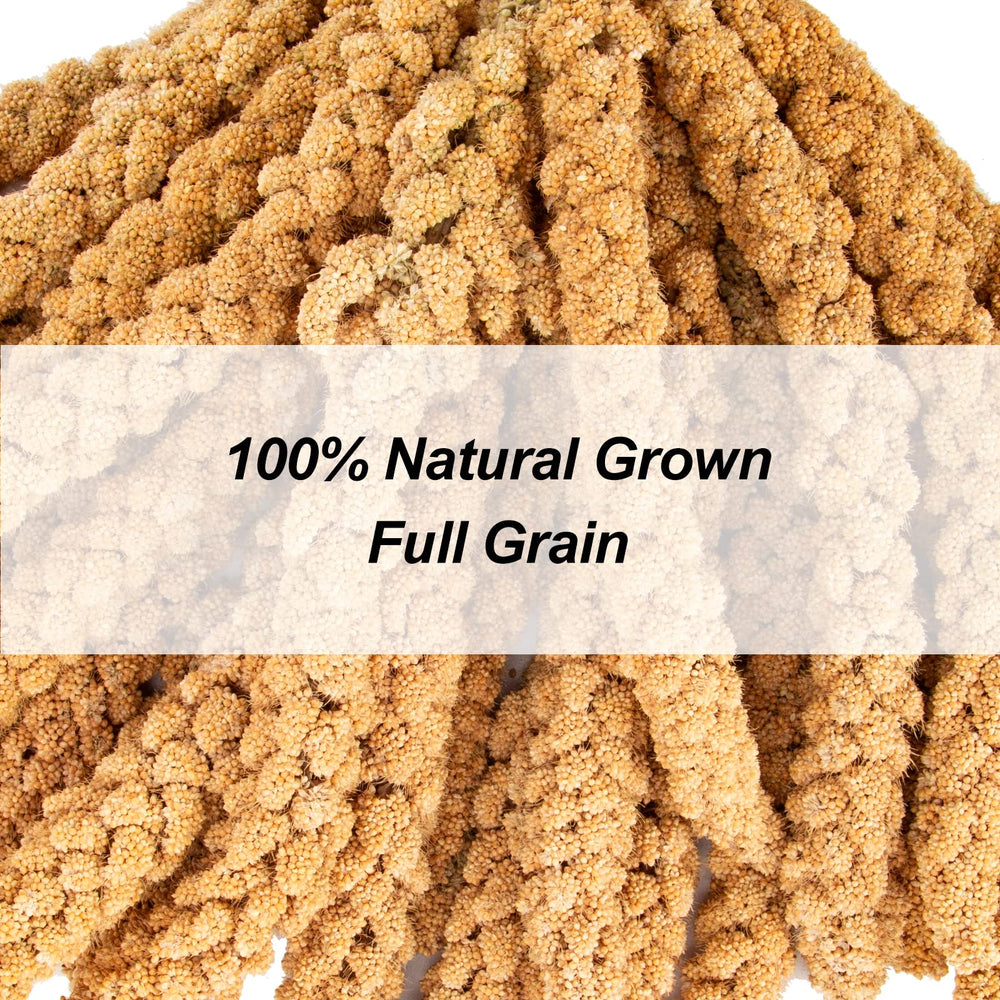 Amzey tasty plump millet closeup highlighting natural quality and protein-rich snacking.