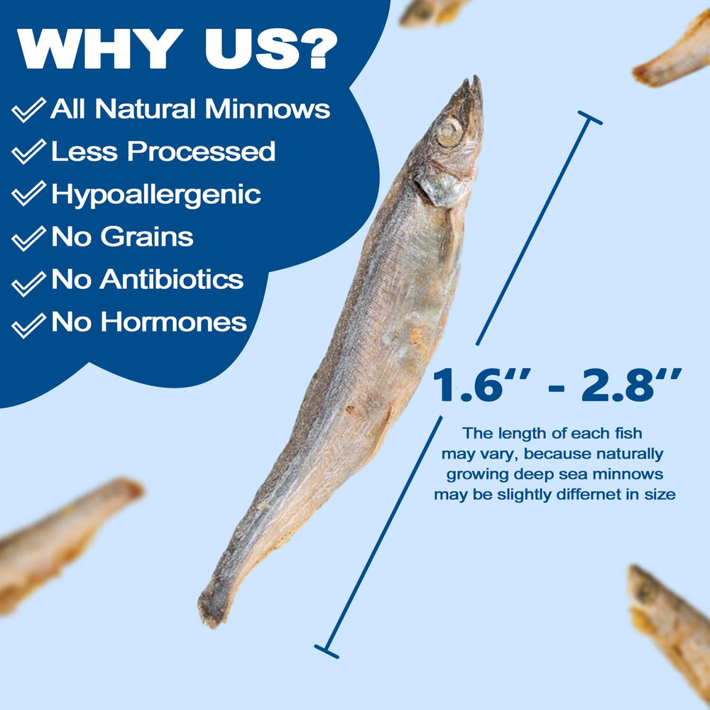 Amzey minnow treats used during training session for positive reinforcement