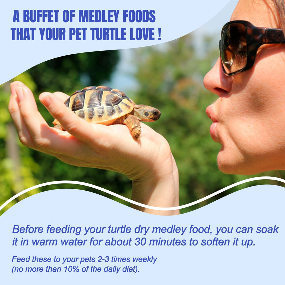 Amzey turtle medley no-additives natural ingredients