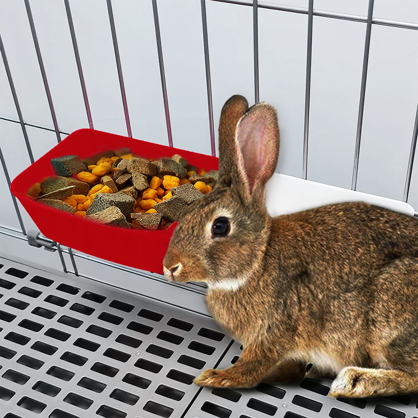 AMZSYLV reliable feeding system for birds, rabbits, and other small pets