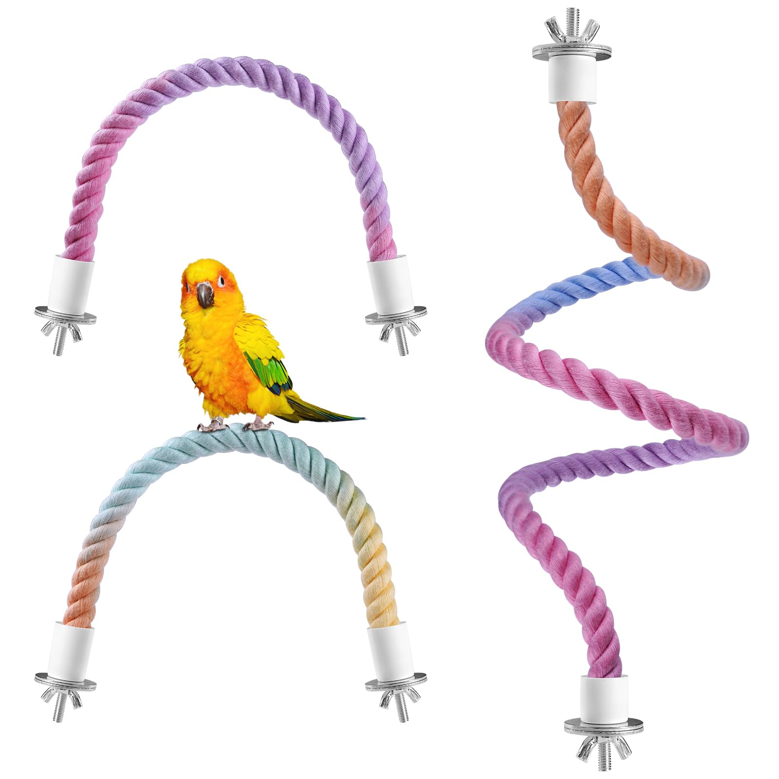 ANA EGO gradient perch setup for birds encouraging exploration and multi-level climbing.