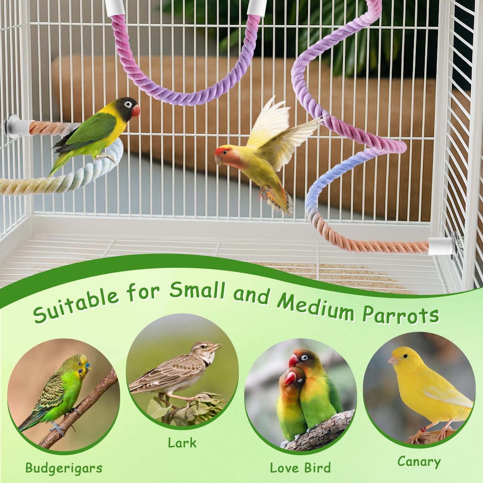 ANA EGO perches support small to medium birds during climbing and rest.
