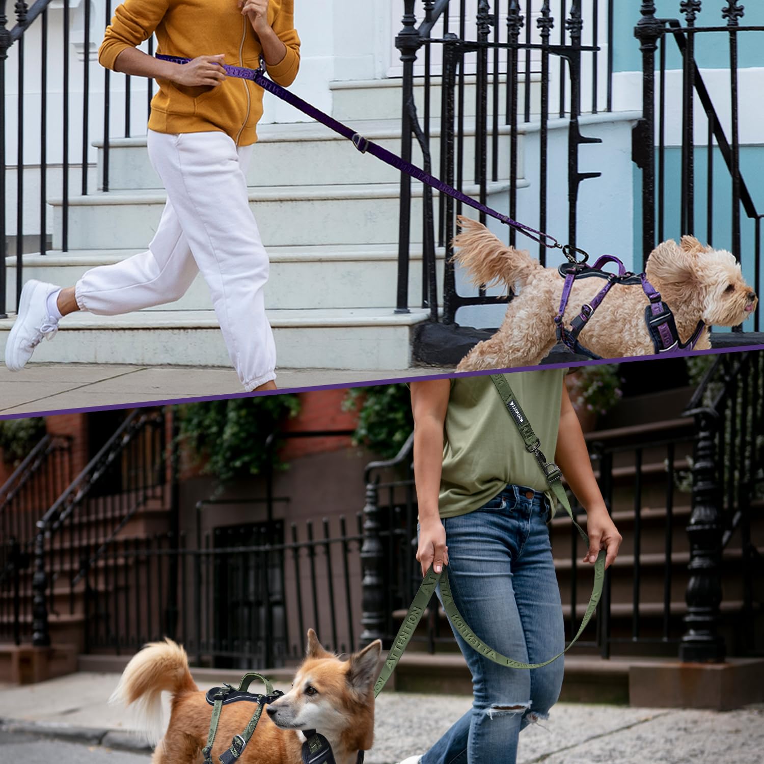 ANAFNI heavy-duty tactical dog leash adjusts from 4 to 7.5 feet for varied environments.