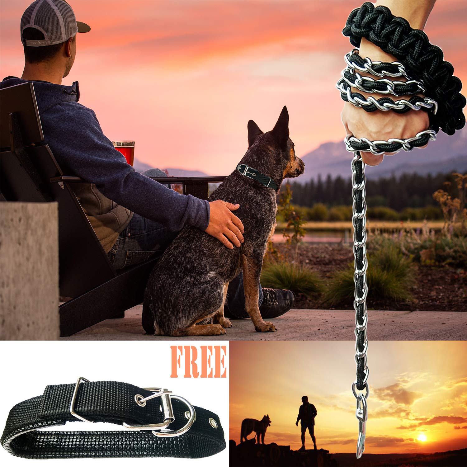 AncBace dog leash 360-degree rotating hook for easy attachment during training.