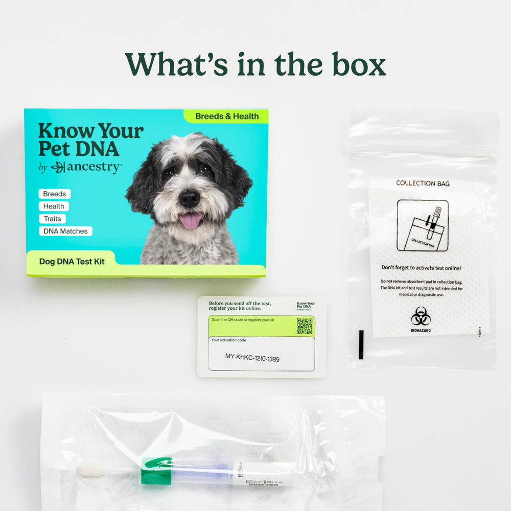 AncestryDNA behavior traits visualization showing inherited tendencies in dogs