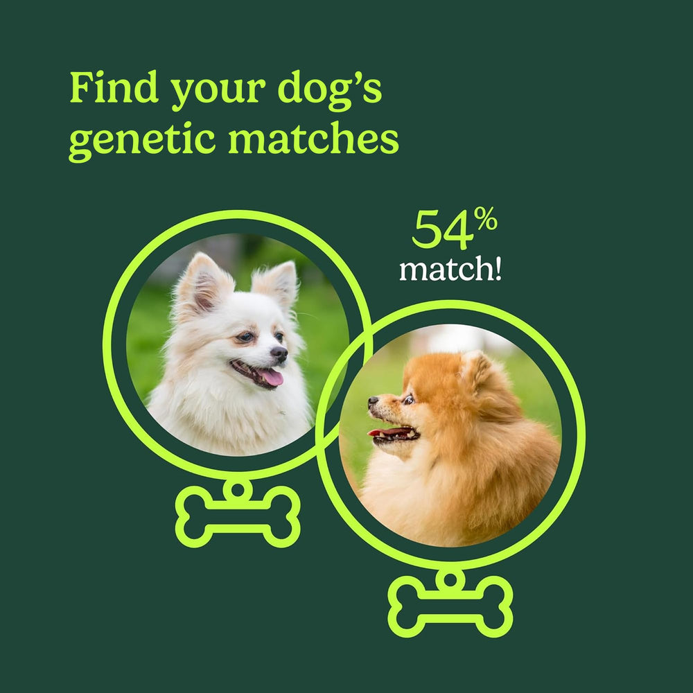 AncestryDNA canine breed chart reveals your dog's breed composition and heritage.