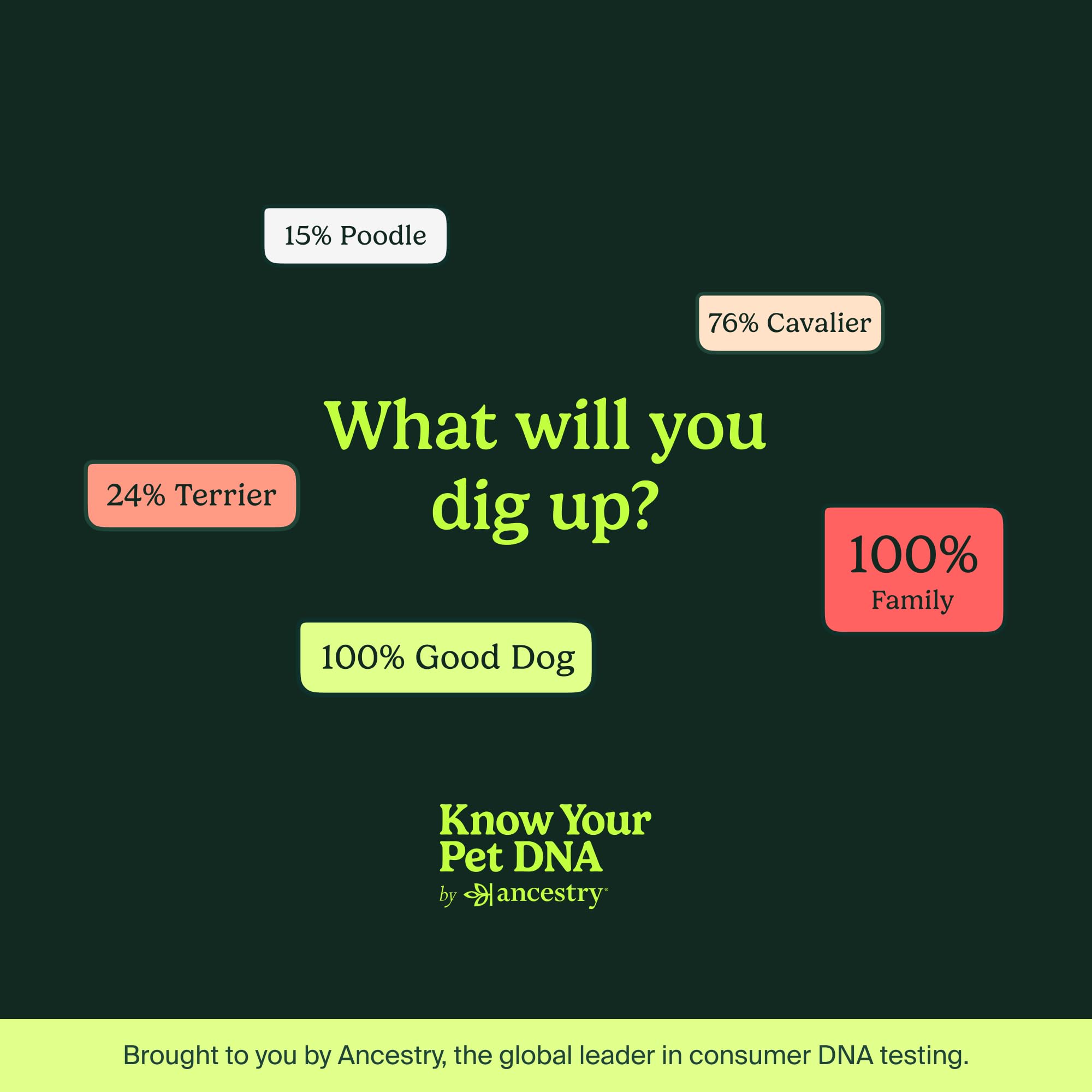 AncestryDNA gift-ready packaging suitable for a thoughtful pet parent gift.