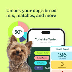 AncestryDNA dog DNA return mailer simplifying sending your sample to the lab.