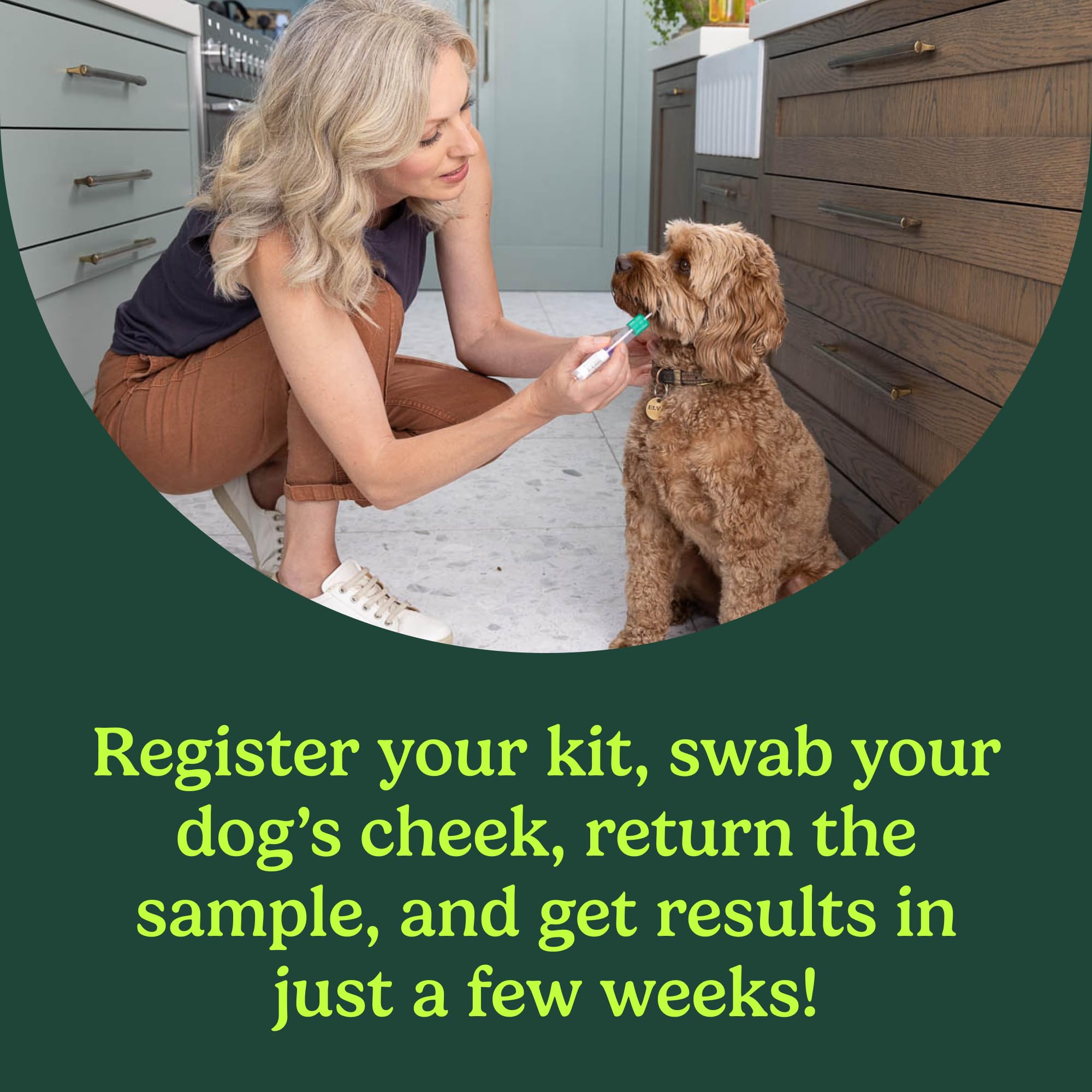 AncestryDNA dog DNA swab tube for gentle collection and accurate breed insights.