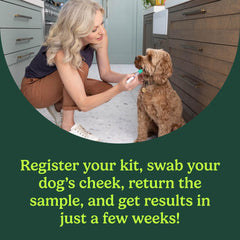 AncestryDNA dog DNA swab tube for gentle collection and accurate breed insights.