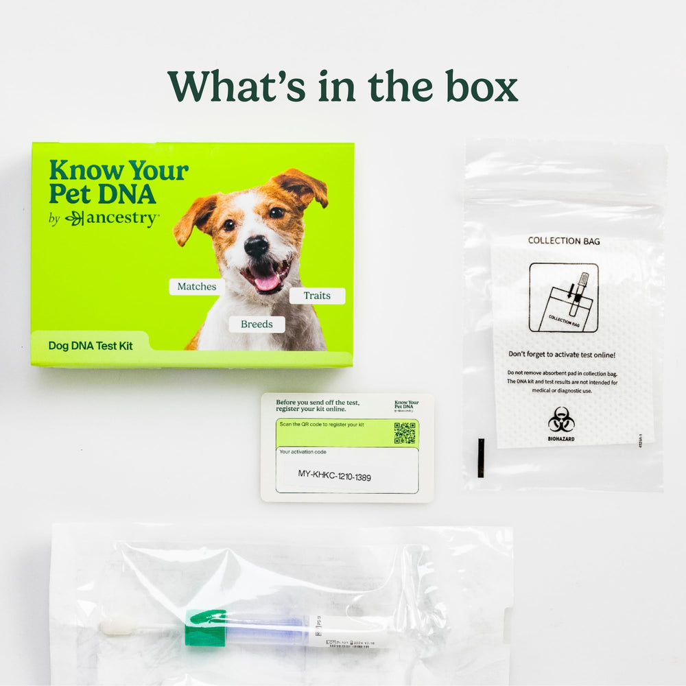 AncestryDNA trait insights highlighting inherited tendencies for better daily care.