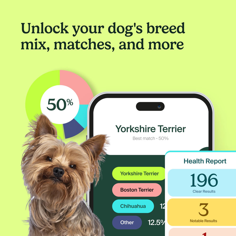 AncestryDNA health screenings graphic emphasizing genetic markers for health insights