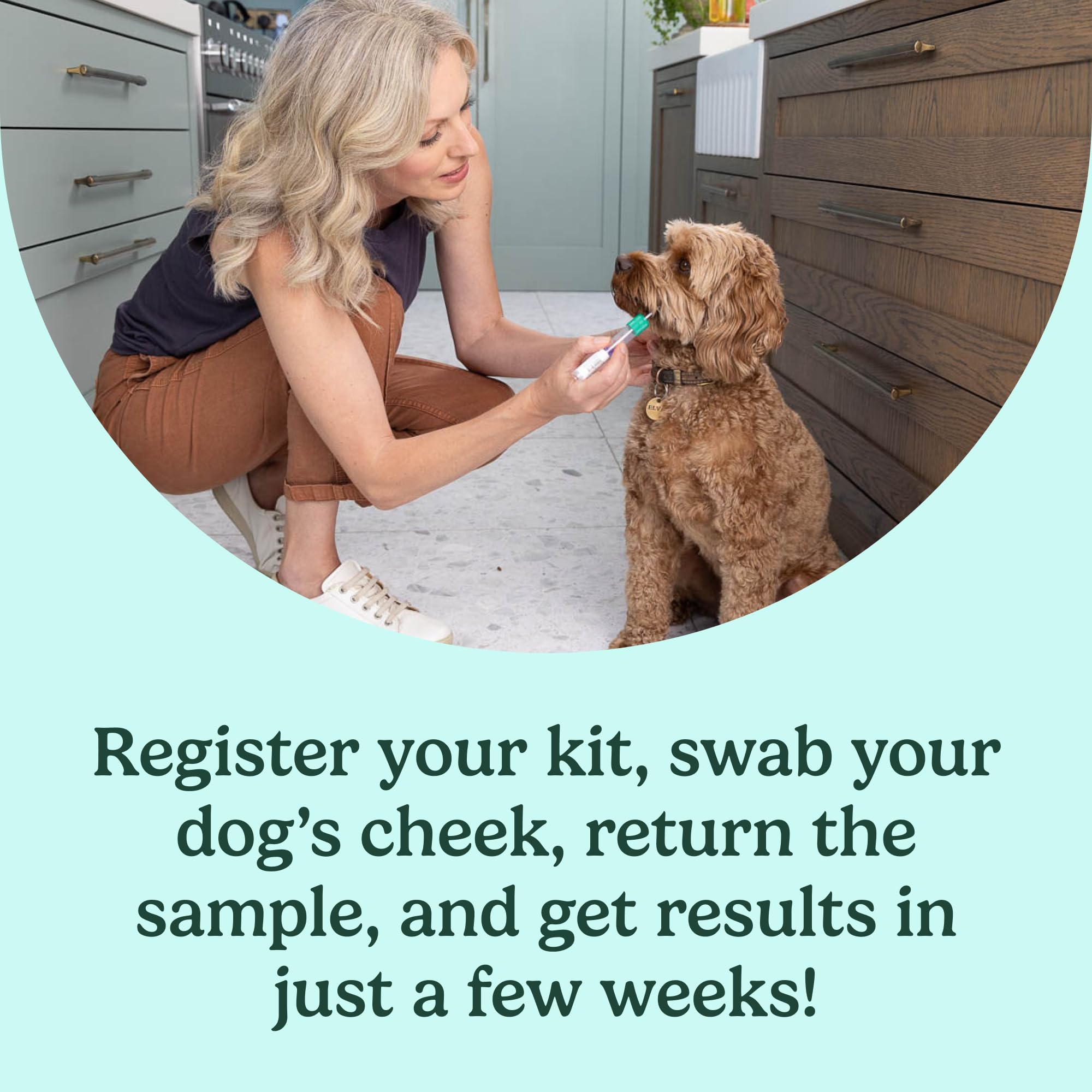 AncestryDNA swab packet illustrating gentle sample collection for dogs