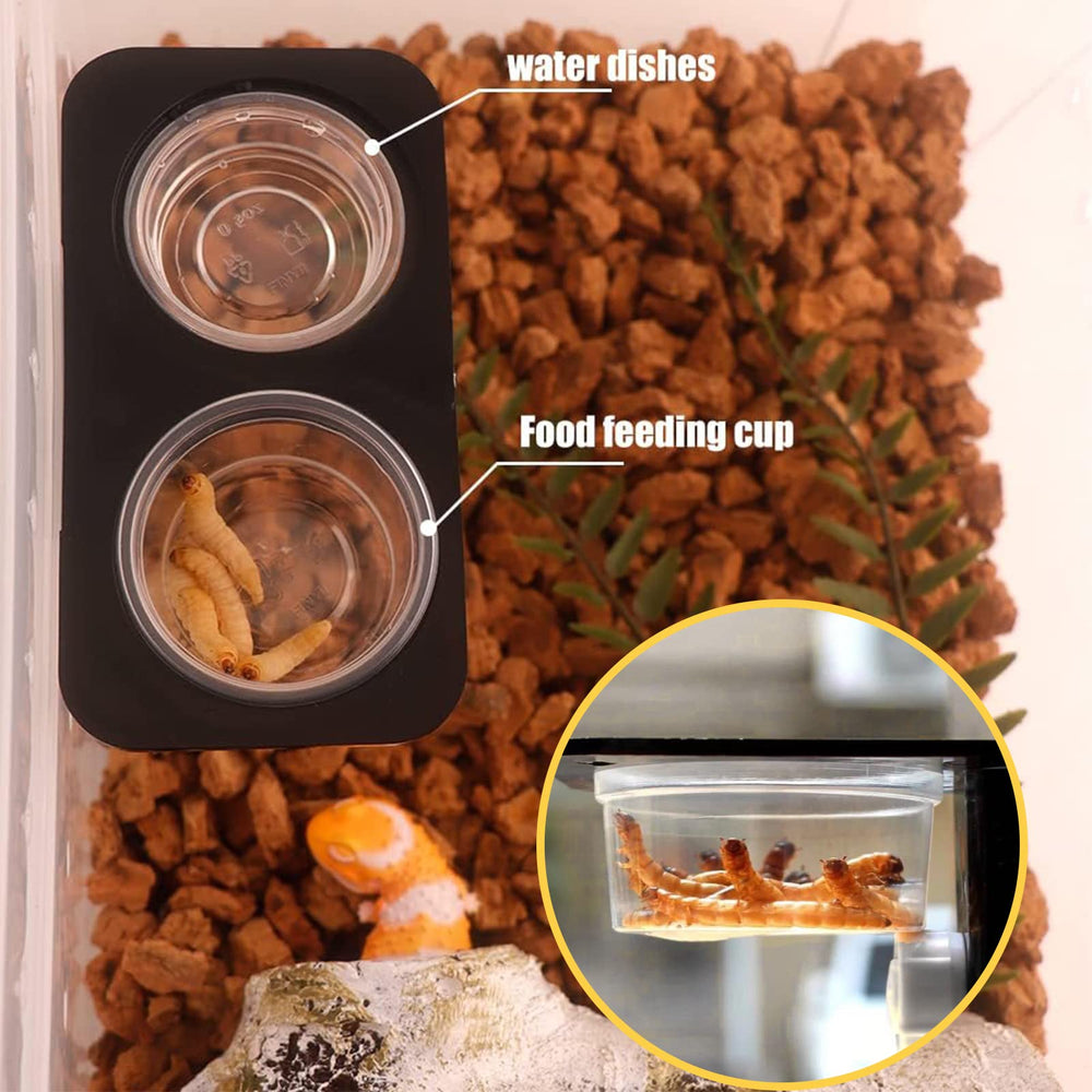 ANCKNE gecko cups on ledge demonstrate practical feeding setup for small pets.