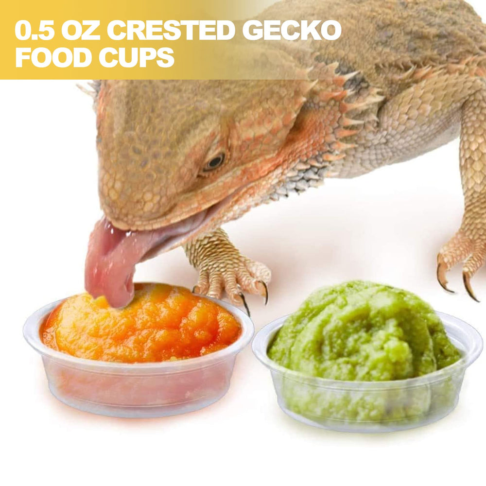 ANCKNE small-pet cups in kitchen use illustrate multipurpose food and seasoning uses.