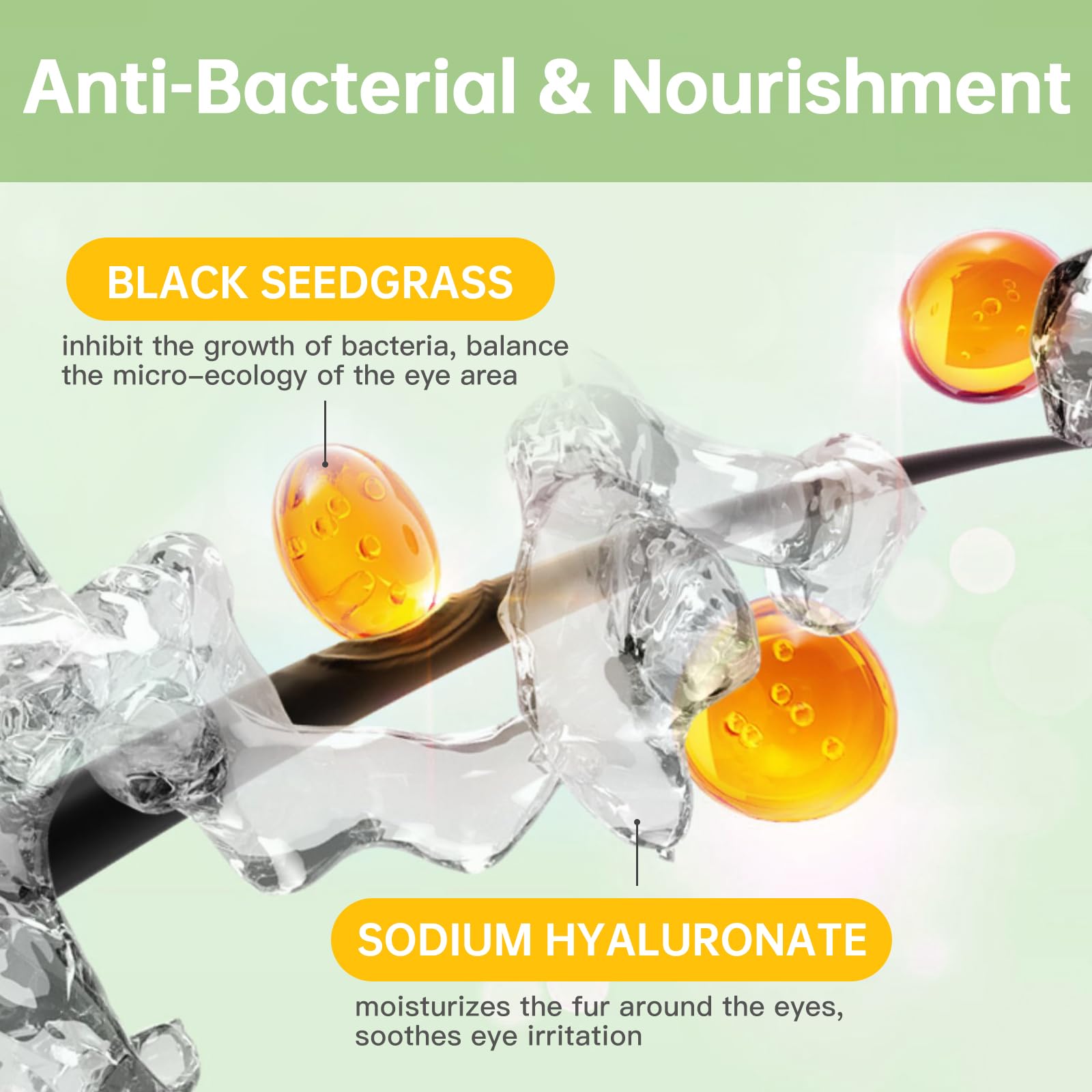 Ancopaws mild-ingredients label closeup emphasizes gentle, non-irritating formula.