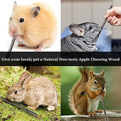 ANDES Bunny Hamsters Chew Toys Set apple-wood-grass-cake close-up features natural chew cake for gnawing fun