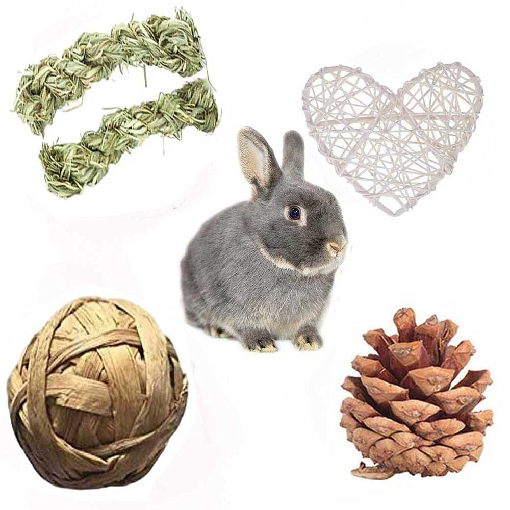 ANDES Bunny Hamsters Chew Toys Set pine-cones-rattan-heart image evokes rustic chew toys for exploration