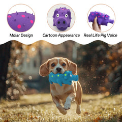 Andiker 2pc dog toy set product shot for small to medium dogs.