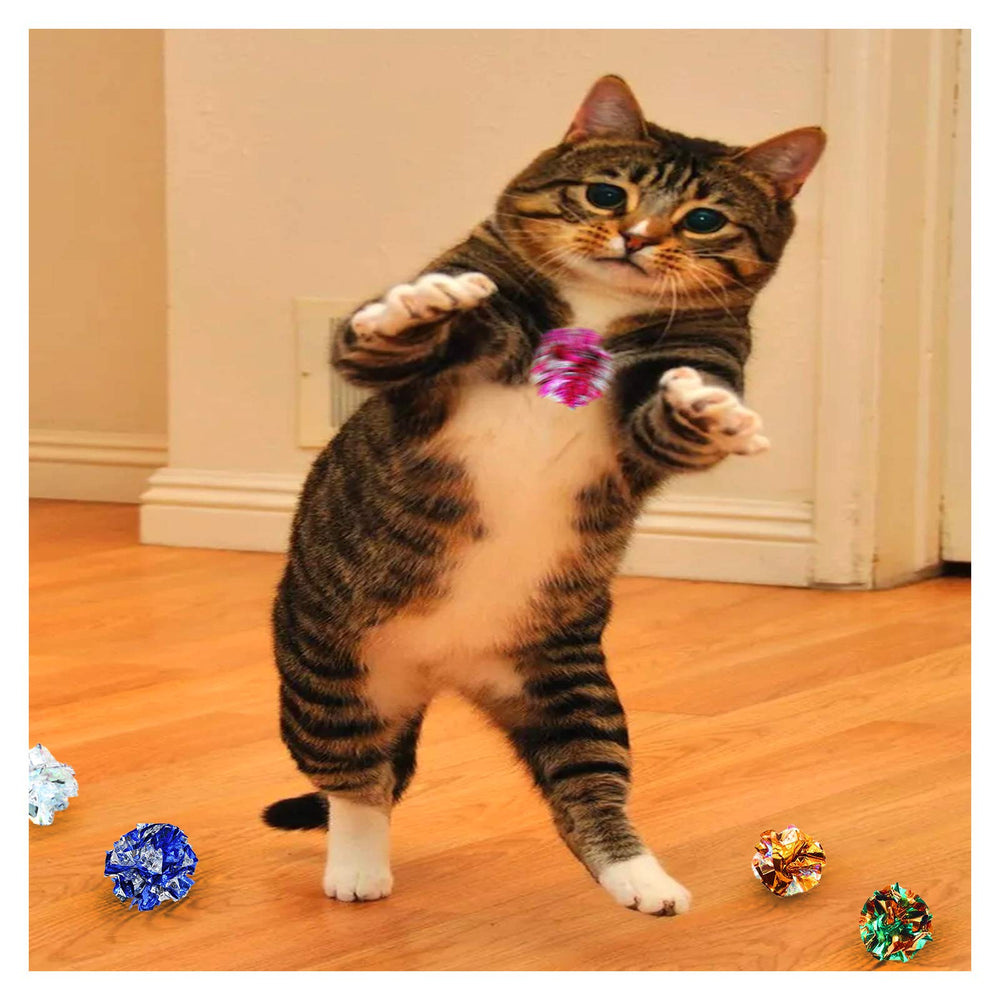 Andiker cat crinkle ball purple bright color invites playful pounce and pursuit.