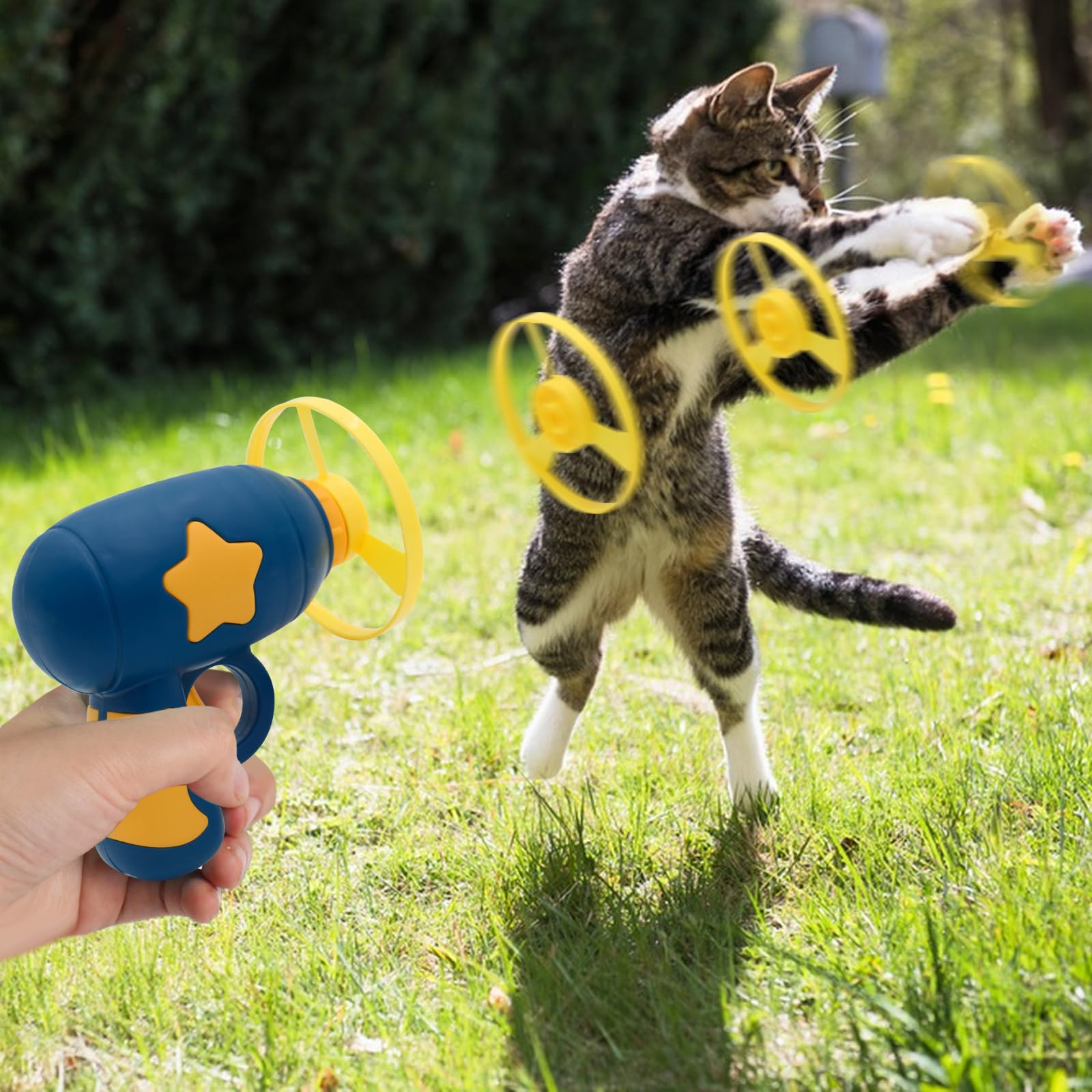 Andiker Cat Fetch Toy action shot captures a cat chasing a rotating propeller for exercise.