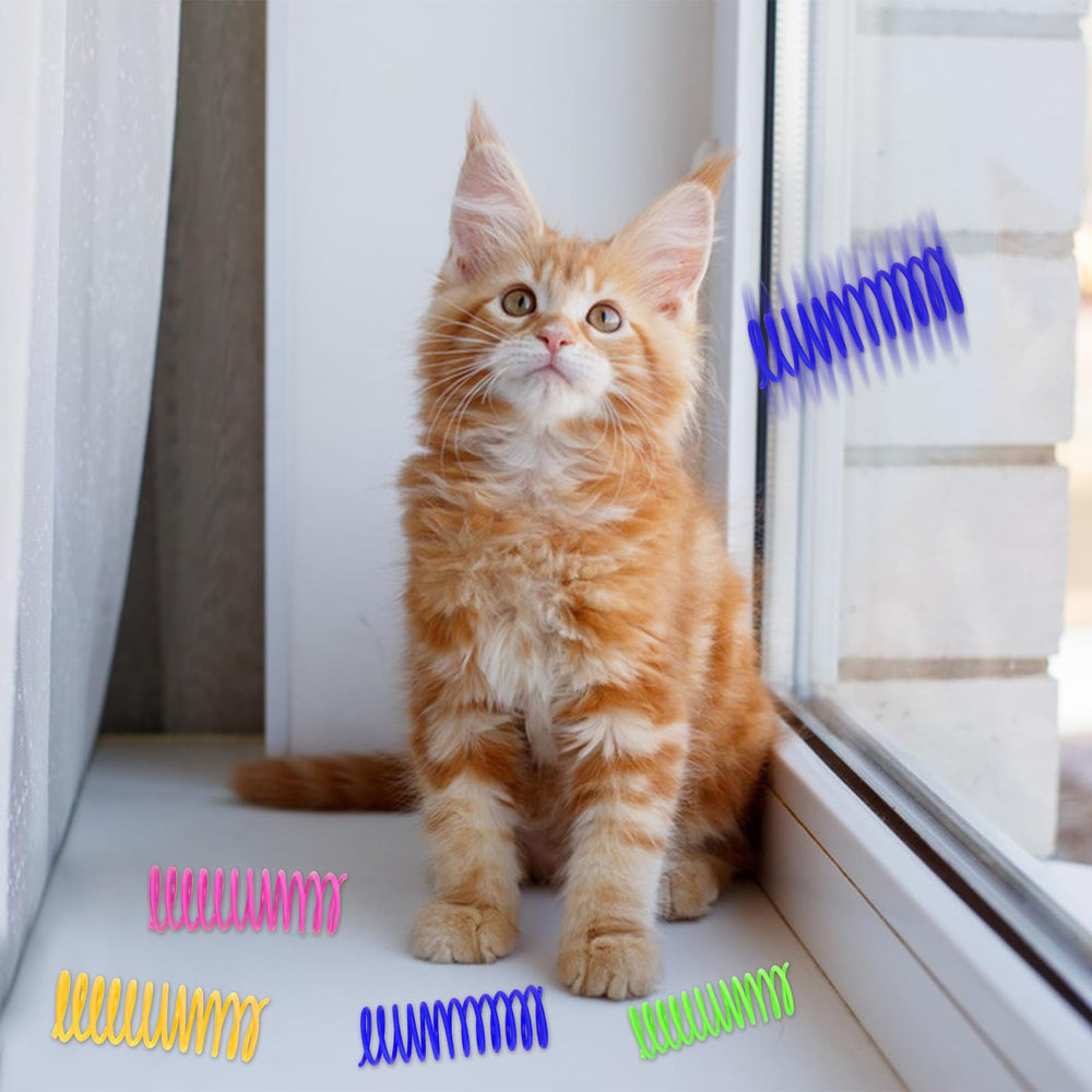 Andiker cat spring toy interaction highlights bonding moments during playtime.