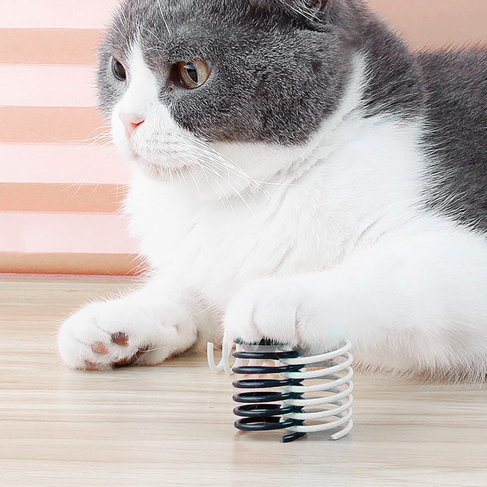 Andiker cat springs rolling action demonstrates non-direction bounce for engagement.