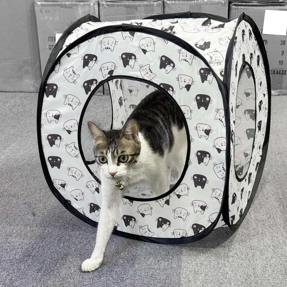 Andiker cat tent spacious-rest-play offers space for resting and playing.