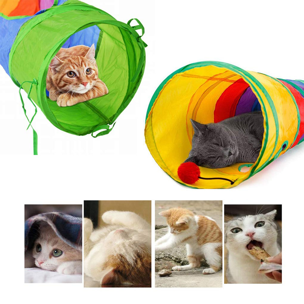 Andiker cat tunnel kittens playing inside shows exercising, hiding, and social fun.
