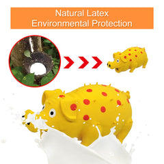 Andiker Dog Squeaky Toy dental texture highlights spikes and dots for oral chewing
