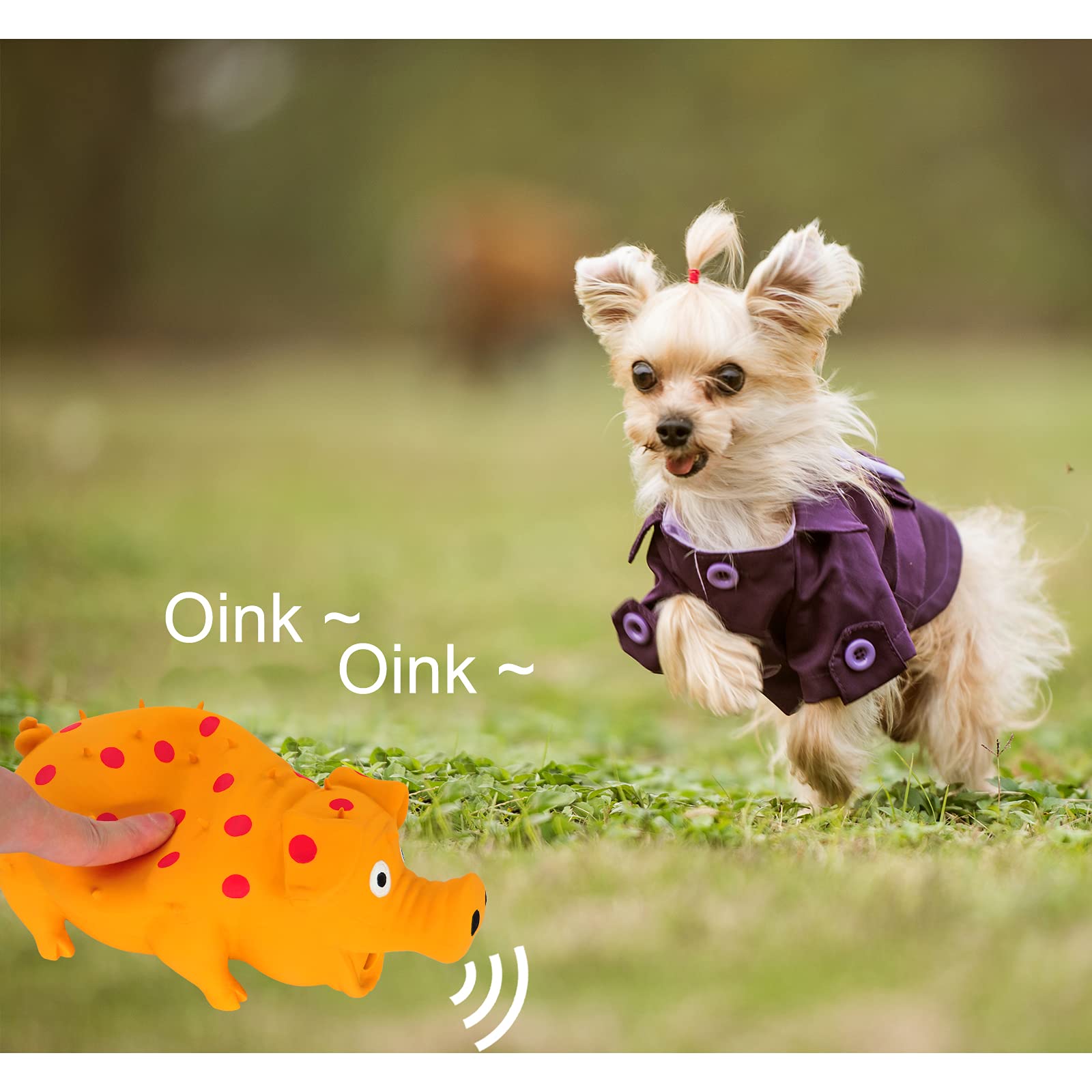 Andiker dog squeaky toy with oinks squeaker for engaging indoor play