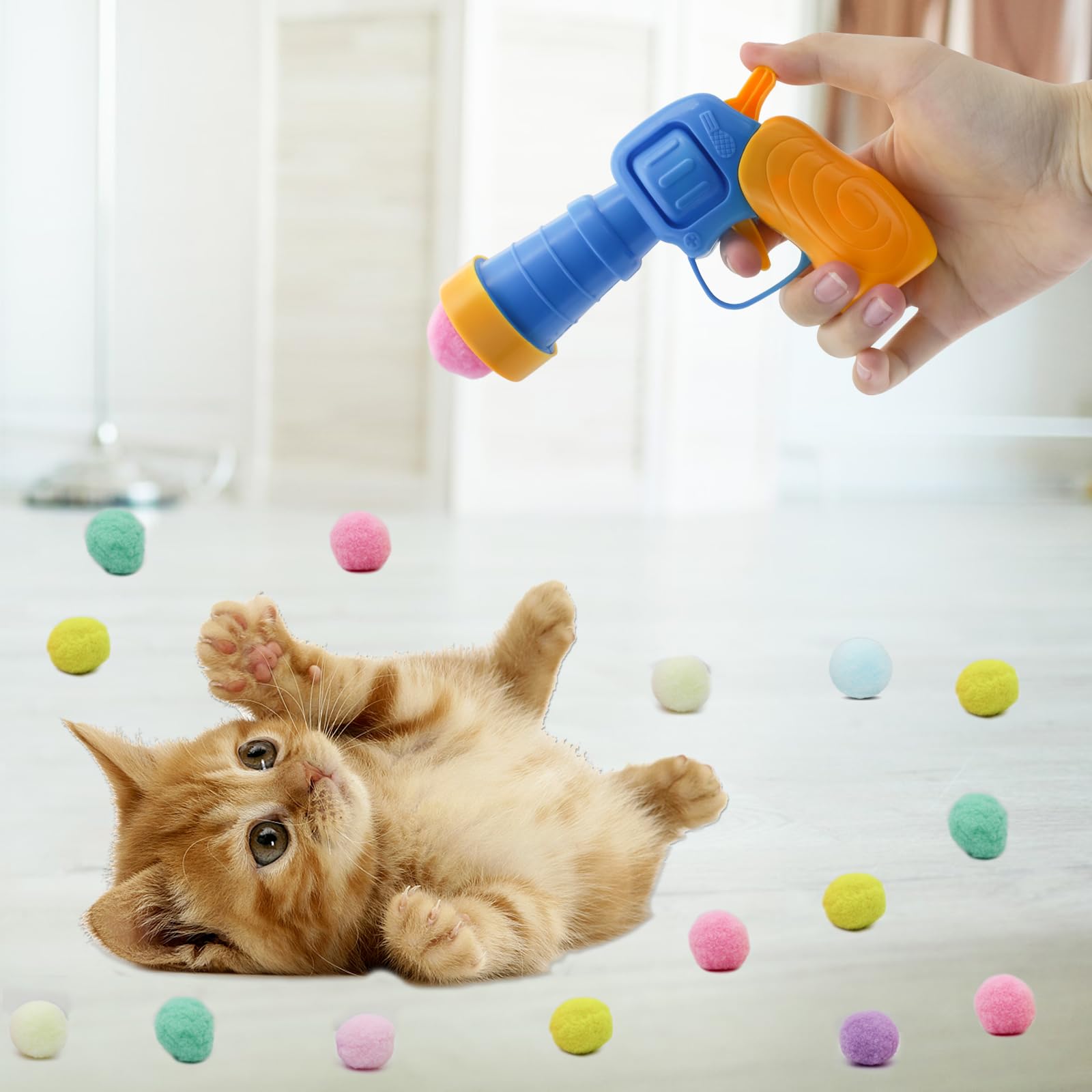 Andiker indoor play session shows energy burning through colorful chase and fetch