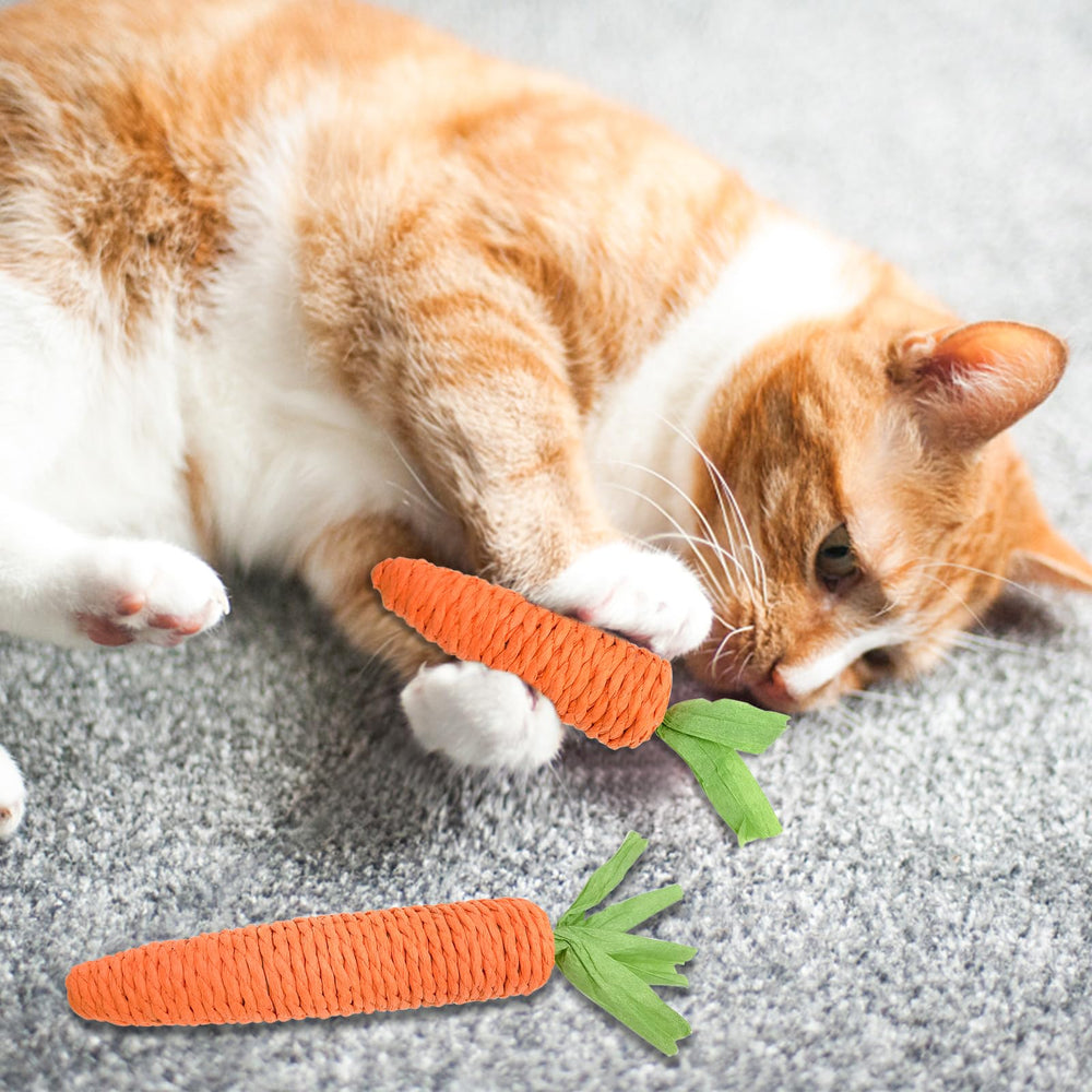 Andiker indoor cat play showcases versatile, engaging rope toys for living room fun