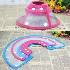 Andiker Pet Cone blue close-up padded edge for comfort.