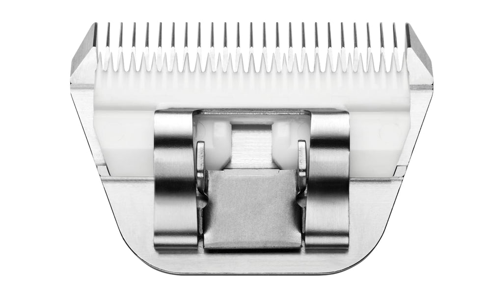 Andis ceramicEDGE Wide Blade 4FW in action during dog grooming for efficient trims.
