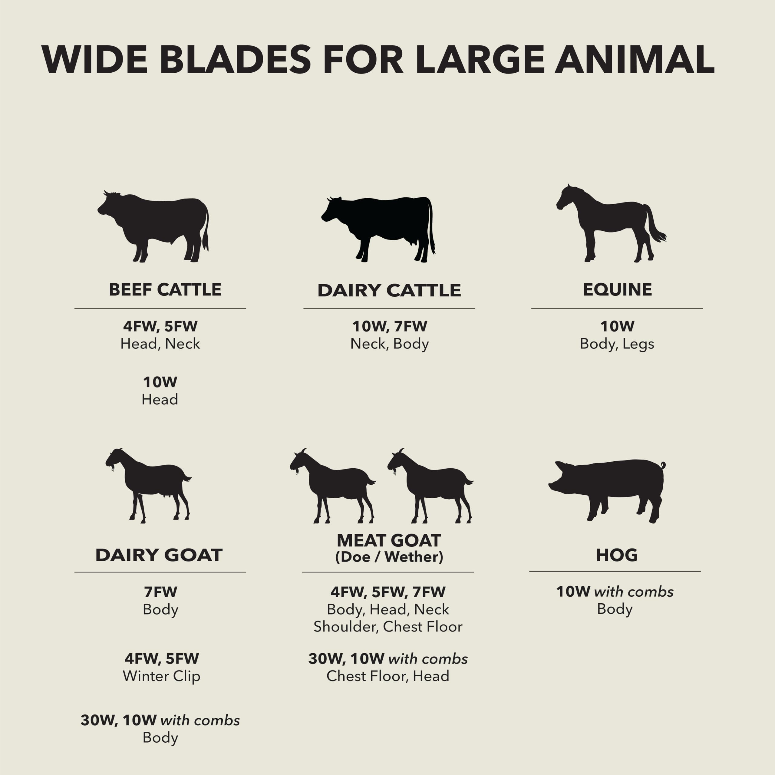 Andis stainless steel blade construction emphasizes long-lasting reliability in busy salons.