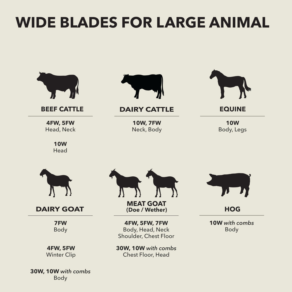 Andis stainless steel blade construction emphasizes long-lasting reliability in busy salons.