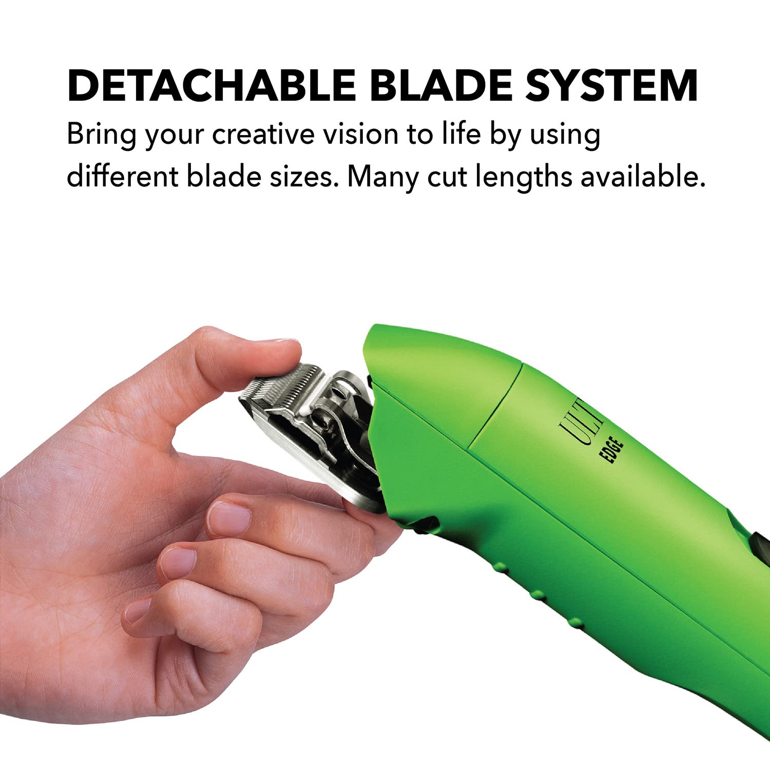 Andis detachable blades enable precise snag-free trimming across breeds