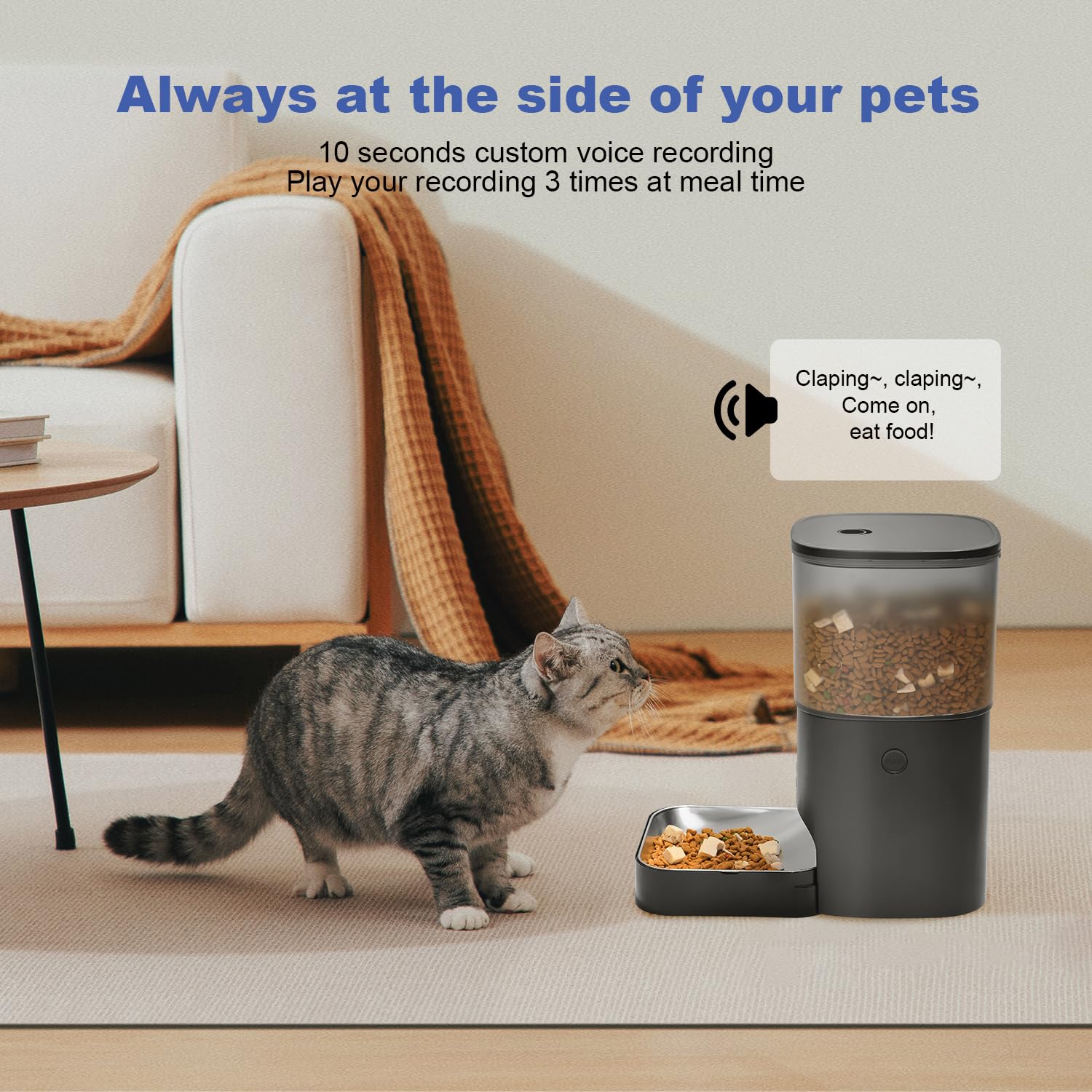 ANDOLL HOME tilt-bowl design ensures comfortable eating position for pets