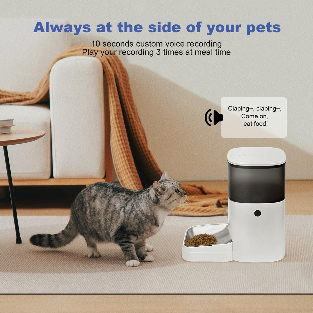 ANDOLL HOME programmable-feeding display—easy meal scheduling.